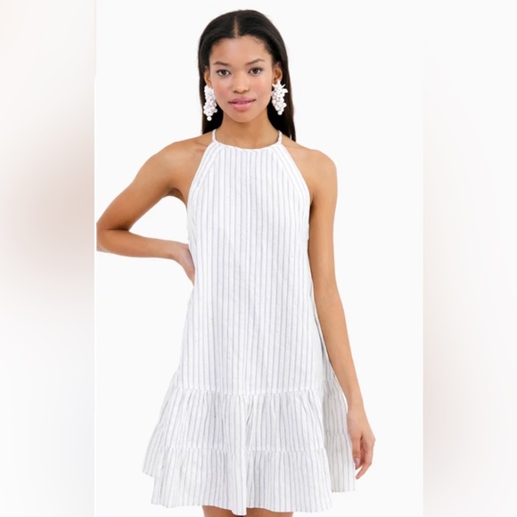 NWT! Rebecca Taylor • Sleeveless Stripe Cotton Tank Dress • SZ 4 • Retail $295 - Picture 5 of 16